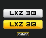 LXZ 313