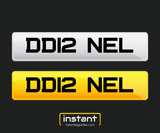 DD12 NEL | DANIEL / DANIELLE Name Registration | Private Cherished Number Plate