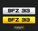 BFZ 313